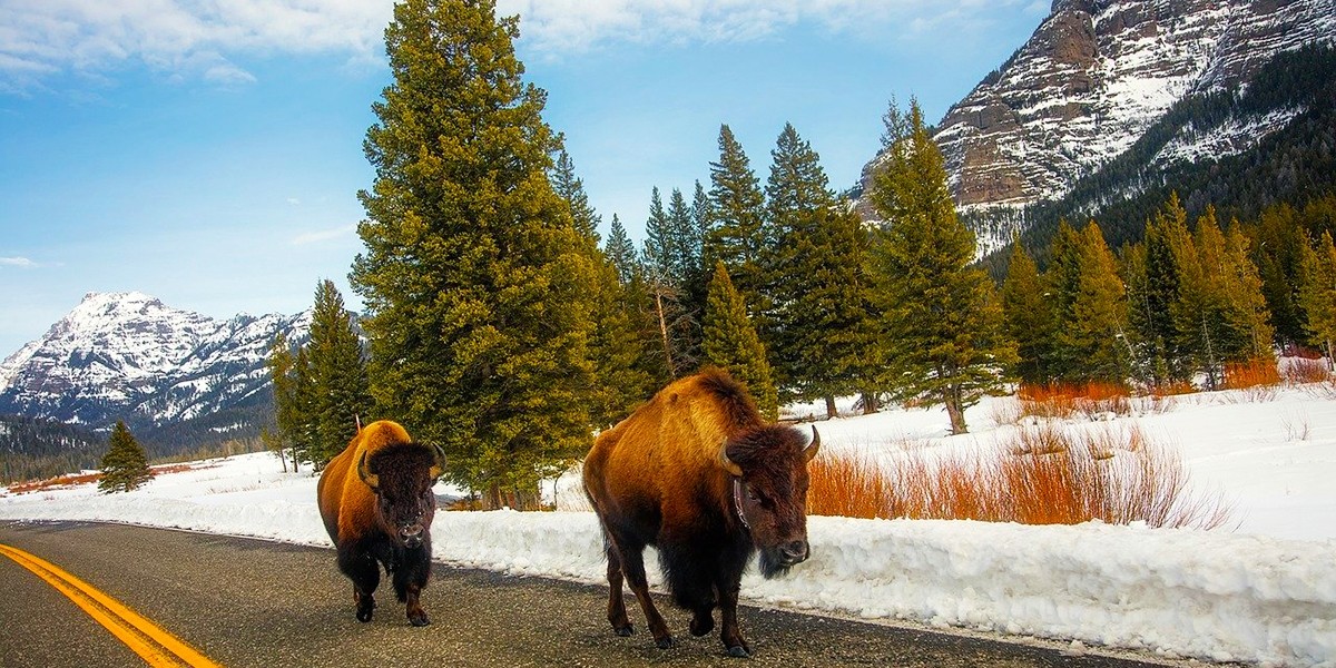 Yellowstone National Park, Wyoming