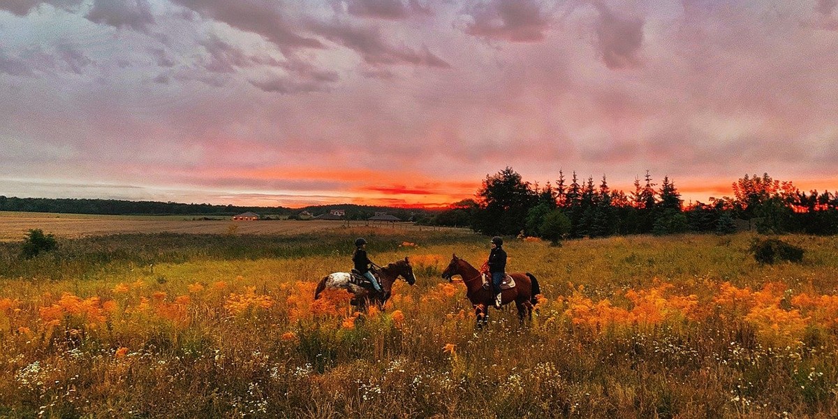 Horseback Riding to Stay Active While Traveling